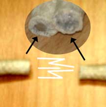 (image for) Super Rope Magnets - FT